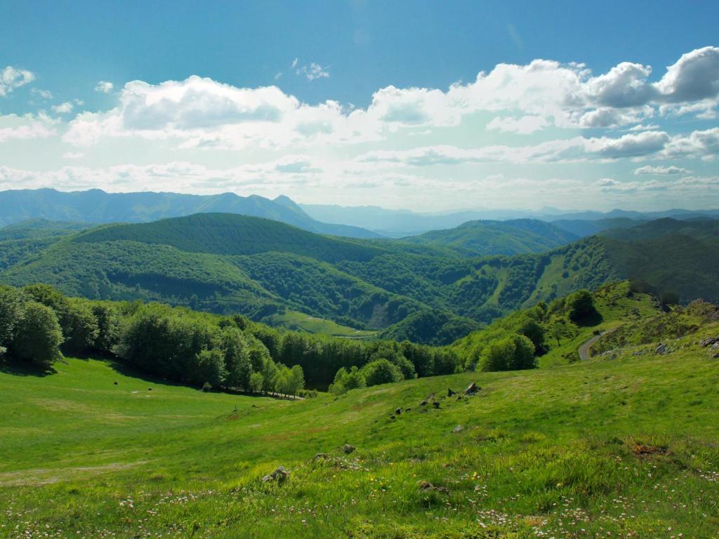 Hostal Jai Alai Лейца Екстер'єр фото